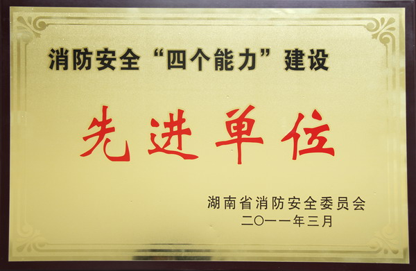 消防安全“四个能力”建设先进单位