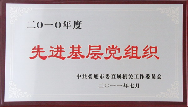 2010年度先进基层党组织