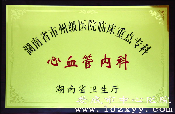 湖南省市州级医院临床重点专科心血管内科