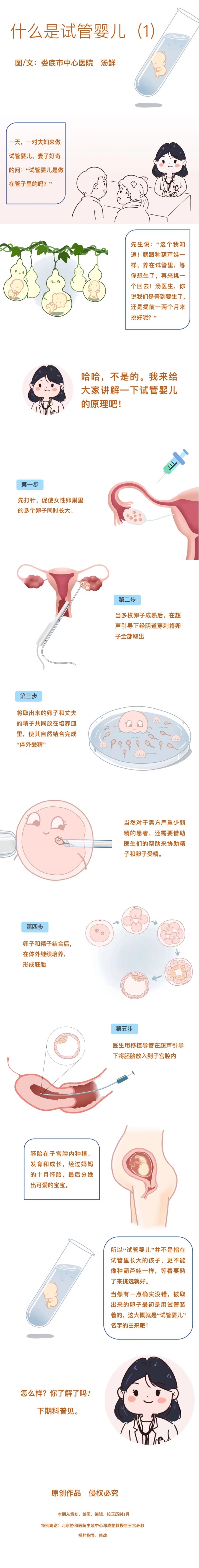 娄底市中心医院2024年健康科普图文类一等奖作品《什么是试管婴儿？》